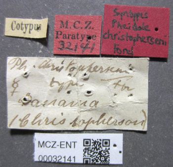 Media type: image;   Entomology 32141 Aspect: labels
